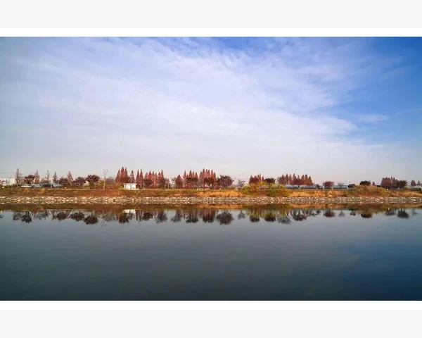 夏季胃驱寒，让你品味中医健康独特魅力