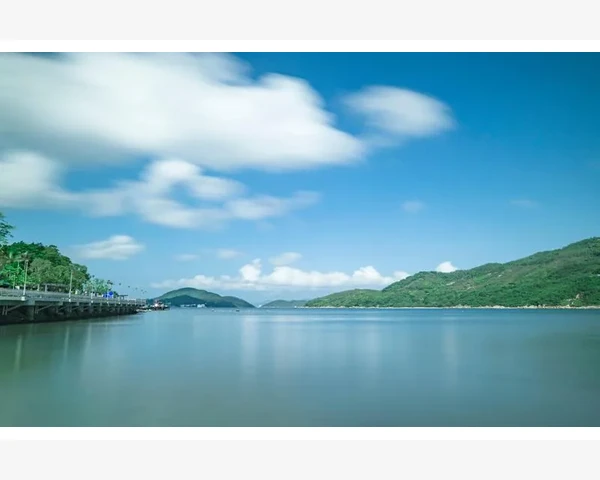 桔梗能治咳化痰吗？